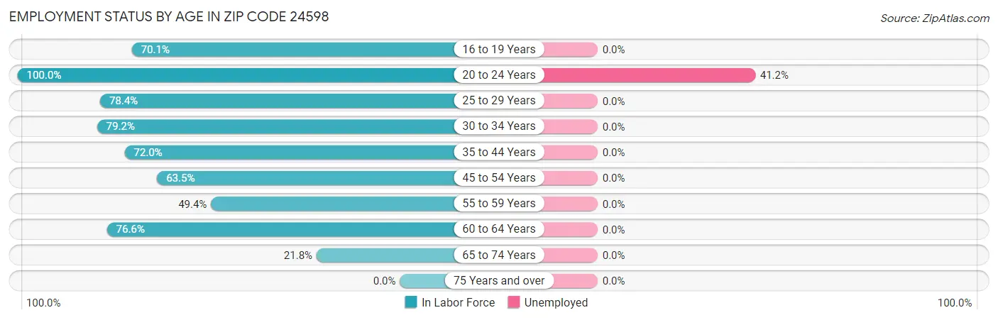 Employment Status by Age in Zip Code 24598