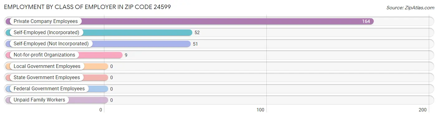 Employment by Class of Employer in Zip Code 24599