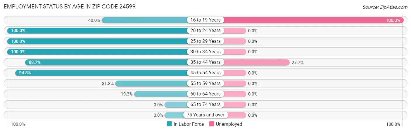 Employment Status by Age in Zip Code 24599