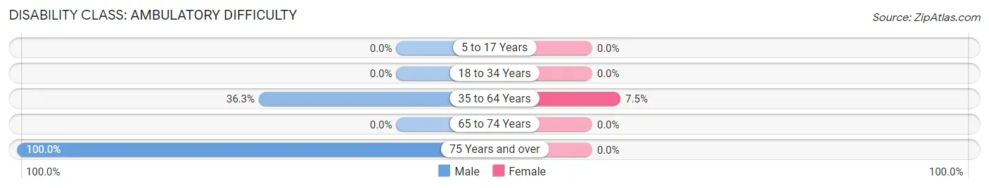 Disability in Zip Code 24602: <span>Ambulatory Difficulty</span>