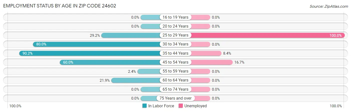 Employment Status by Age in Zip Code 24602