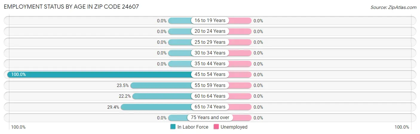 Employment Status by Age in Zip Code 24607