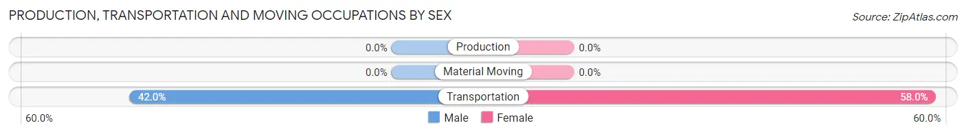 Production, Transportation and Moving Occupations by Sex in Zip Code 24631