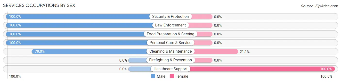 Services Occupations by Sex in Zip Code 24631