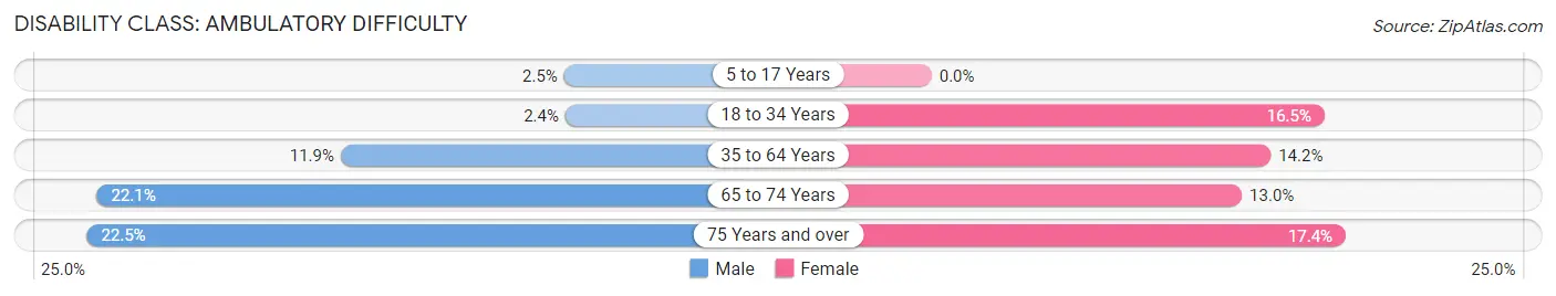 Disability in Zip Code 24637: <span>Ambulatory Difficulty</span>