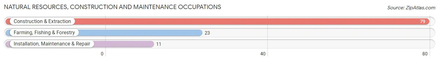 Natural Resources, Construction and Maintenance Occupations in Zip Code 24637