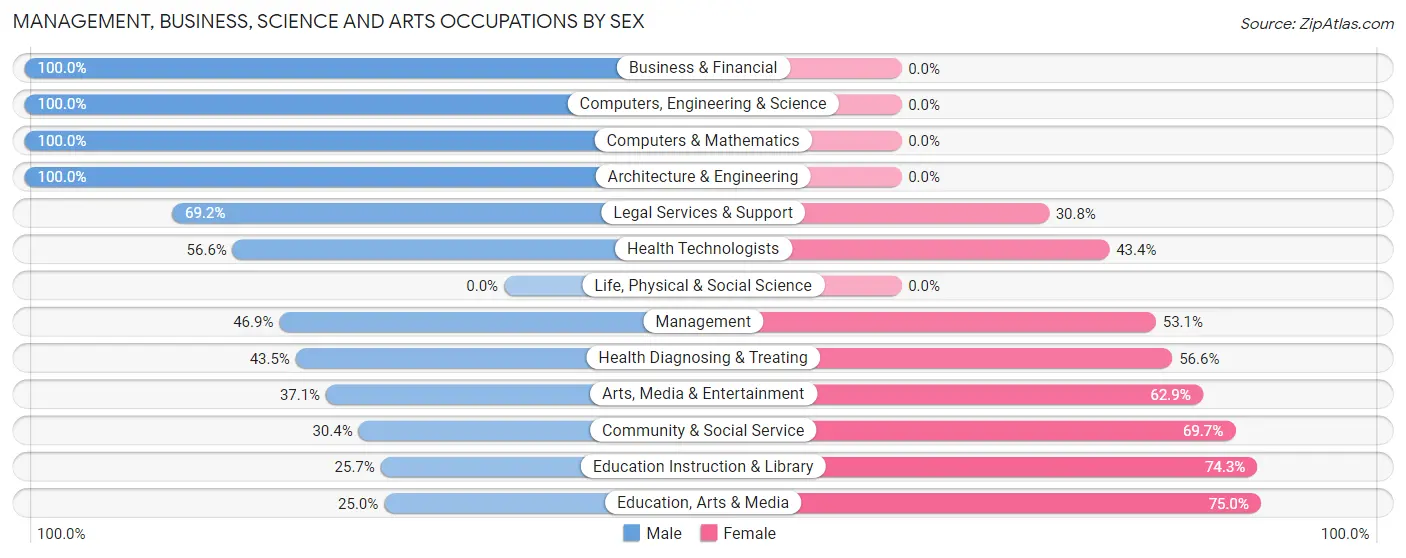 Management, Business, Science and Arts Occupations by Sex in Zip Code 24641