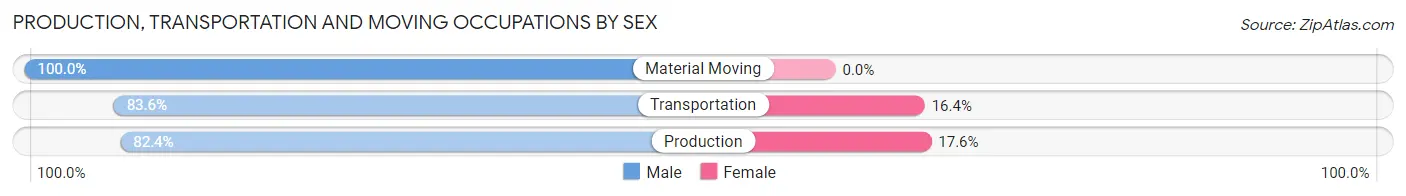Production, Transportation and Moving Occupations by Sex in Zip Code 24641