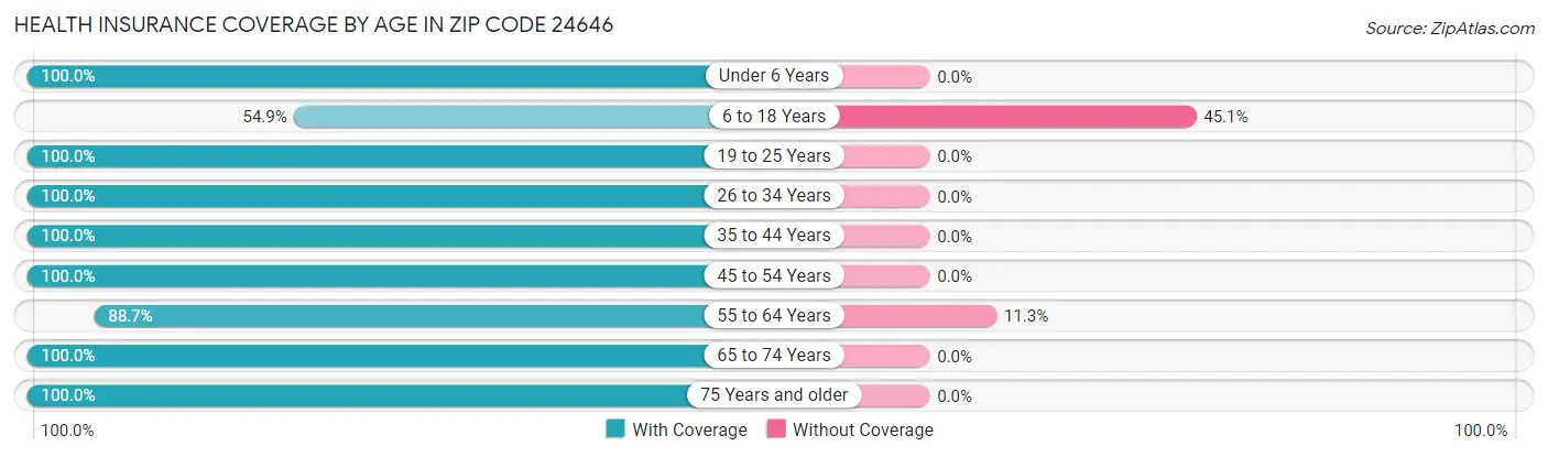 Health Insurance Coverage by Age in Zip Code 24646