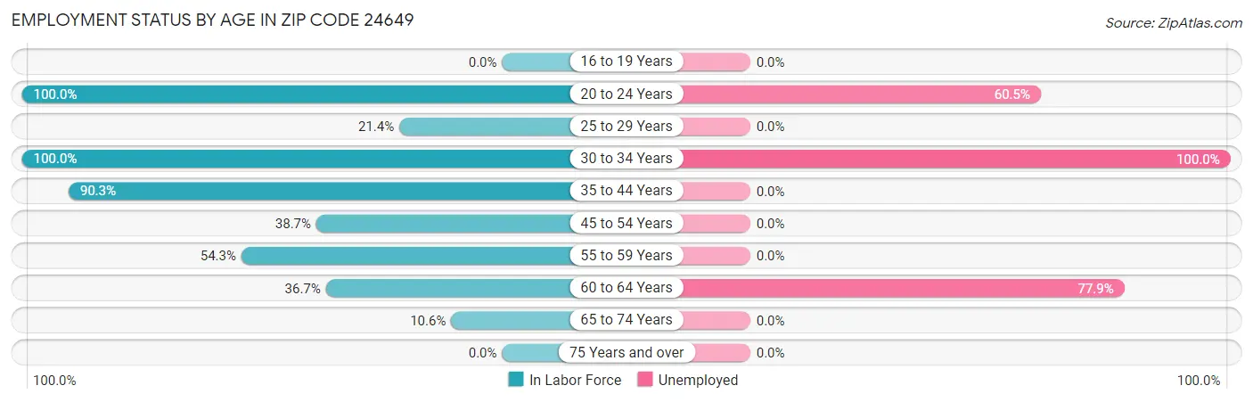 Employment Status by Age in Zip Code 24649
