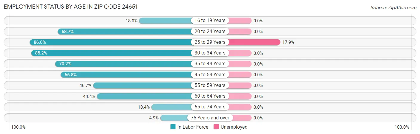 Employment Status by Age in Zip Code 24651