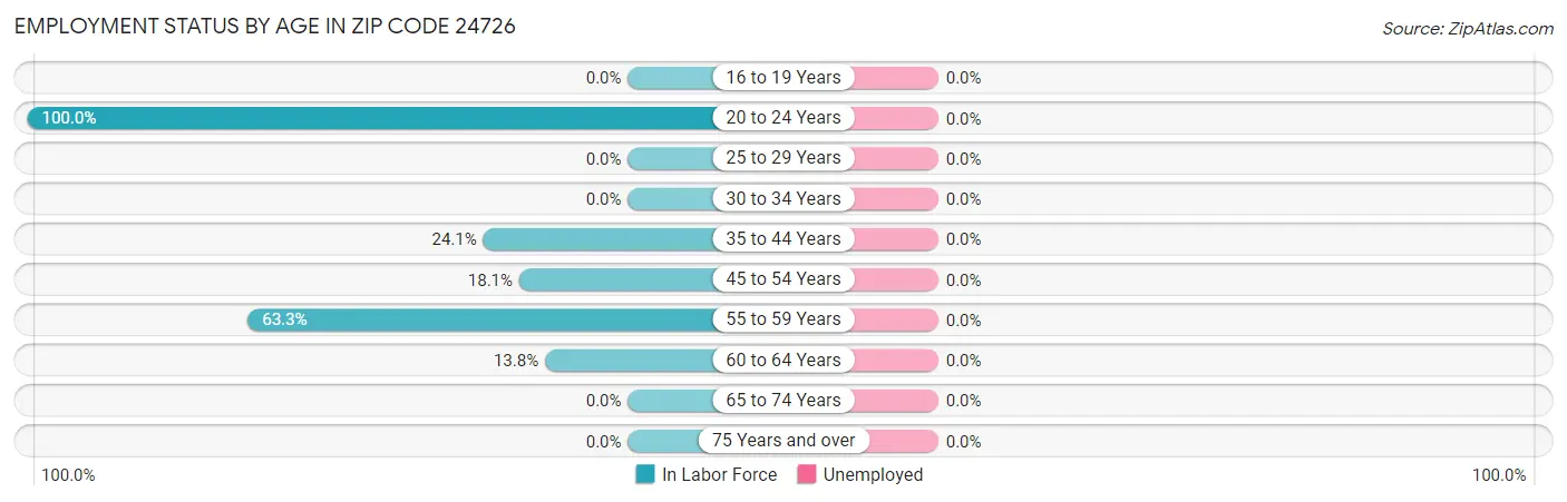 Employment Status by Age in Zip Code 24726