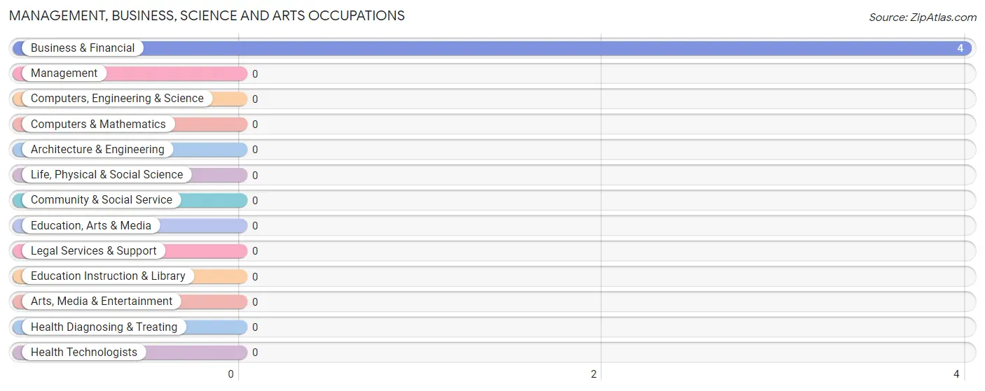 Management, Business, Science and Arts Occupations in Zip Code 24729