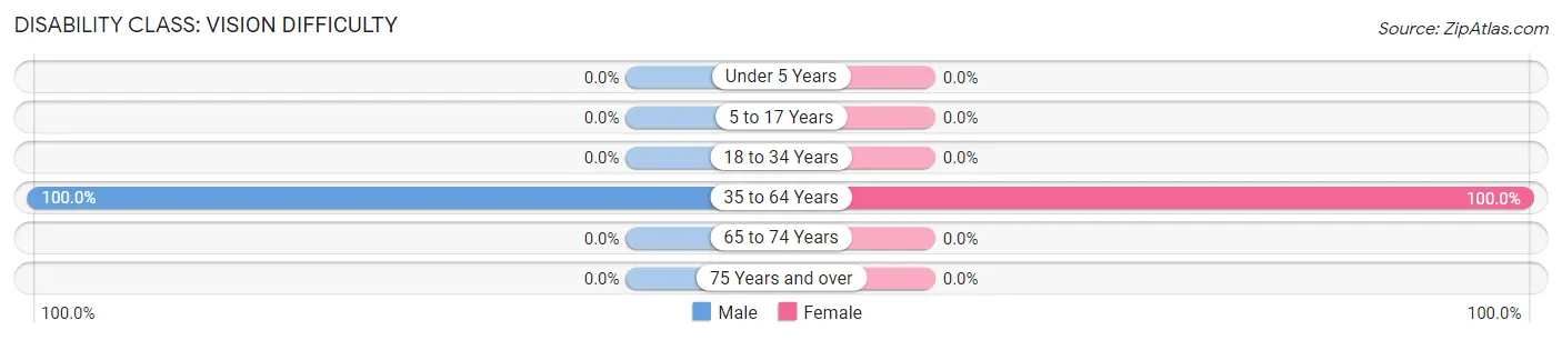 Disability in Zip Code 24729: <span>Vision Difficulty</span>