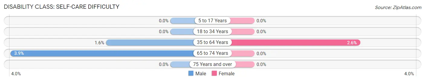 Disability in Zip Code 24747: <span>Self-Care Difficulty</span>