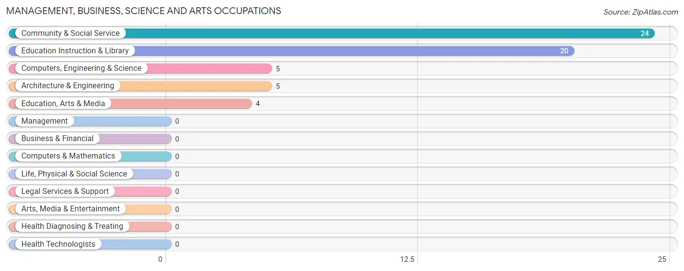 Management, Business, Science and Arts Occupations in Zip Code 24808