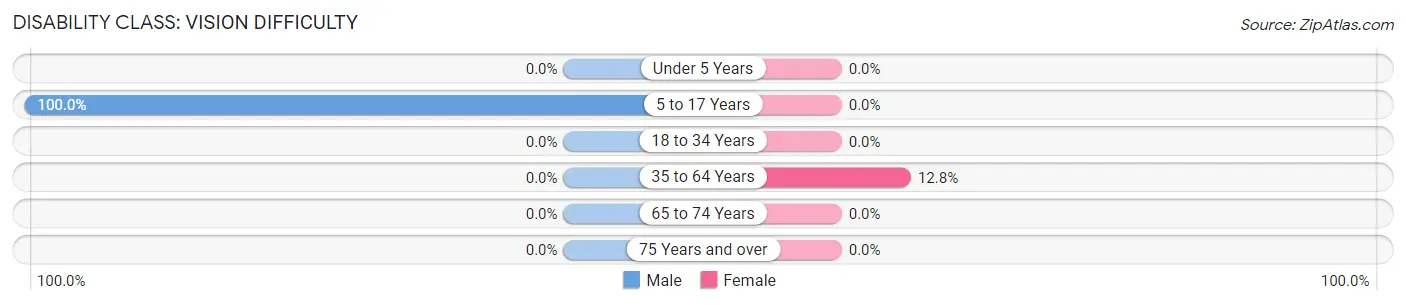 Disability in Zip Code 24811: <span>Vision Difficulty</span>