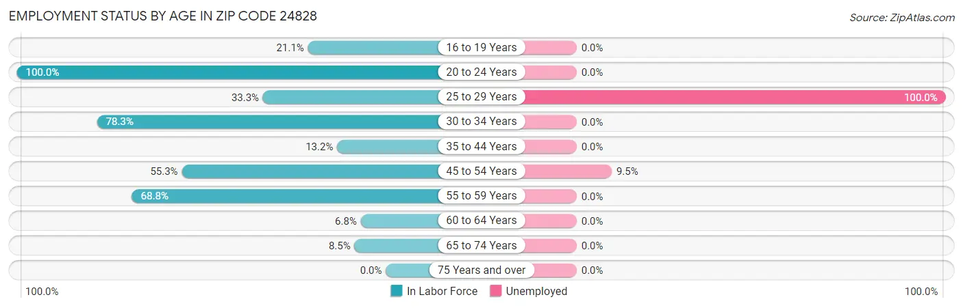 Employment Status by Age in Zip Code 24828