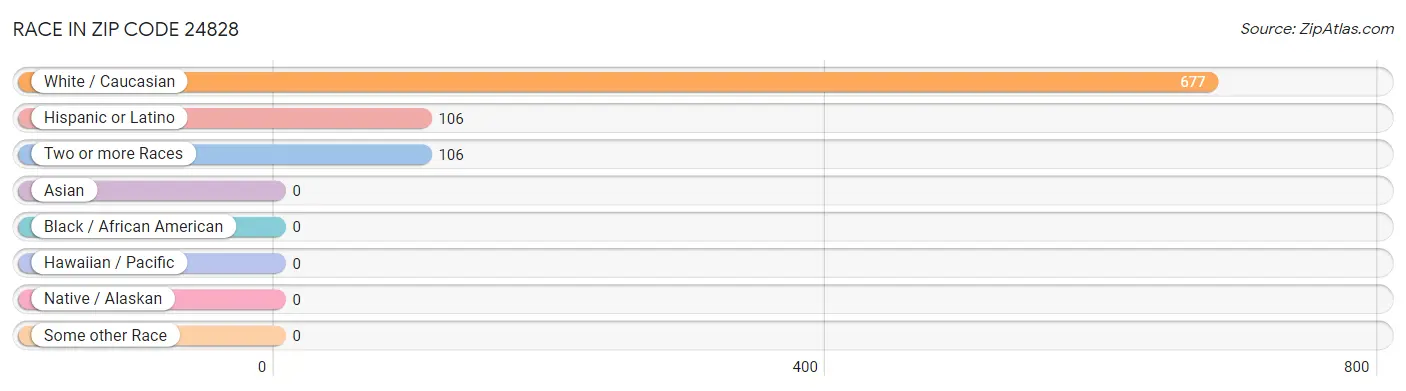 Race in Zip Code 24828