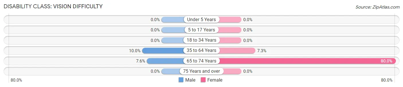 Disability in Zip Code 24828: <span>Vision Difficulty</span>