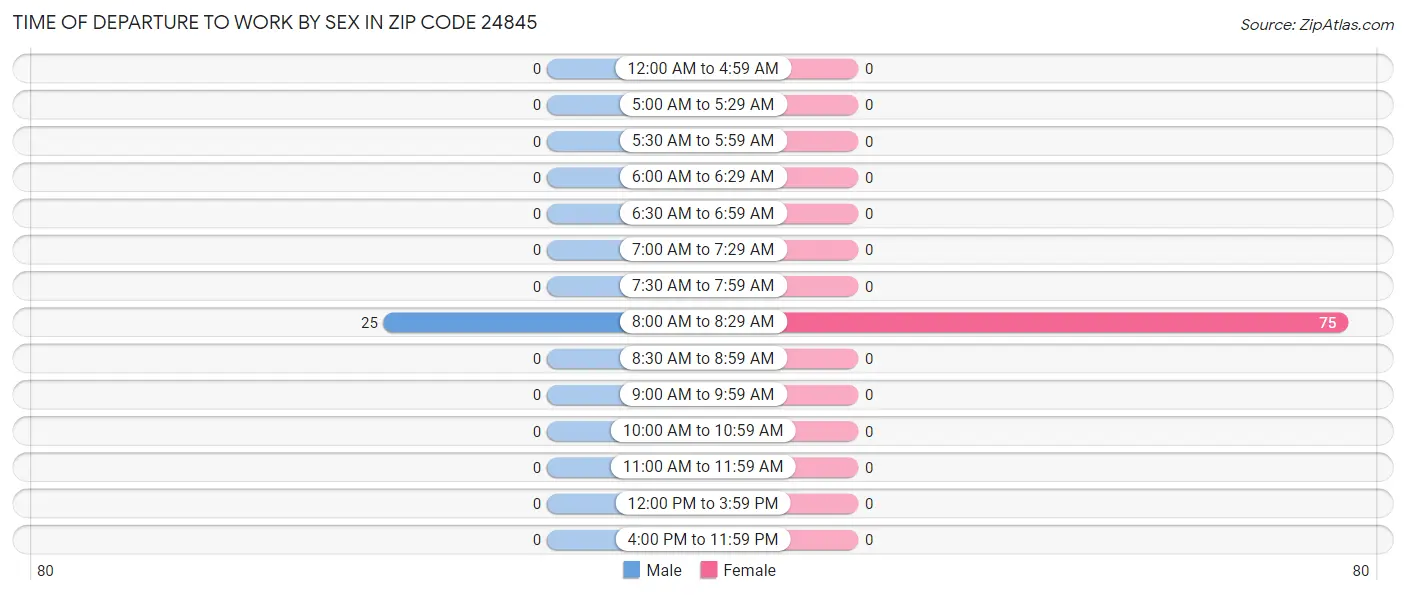 Time of Departure to Work by Sex in Zip Code 24845