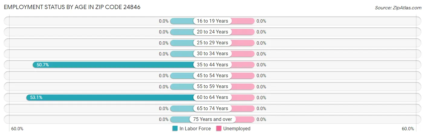 Employment Status by Age in Zip Code 24846