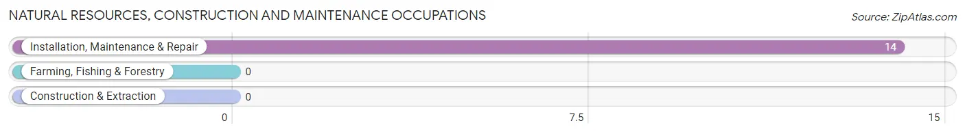 Natural Resources, Construction and Maintenance Occupations in Zip Code 24854