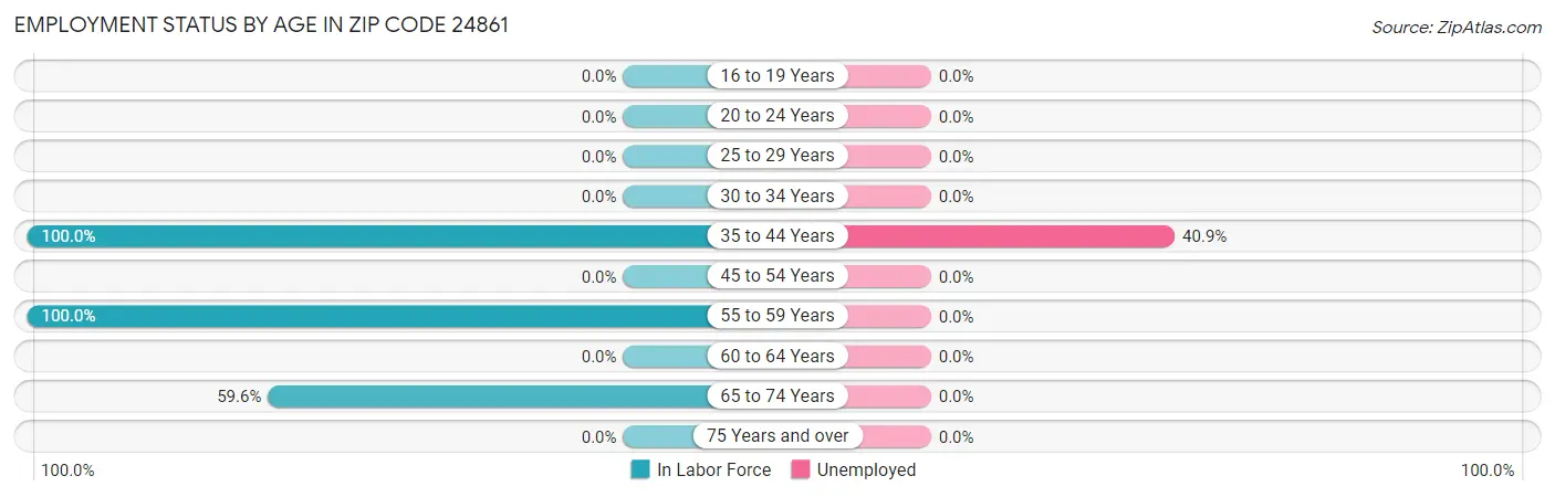 Employment Status by Age in Zip Code 24861