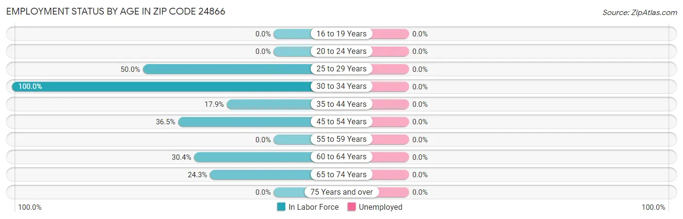 Employment Status by Age in Zip Code 24866