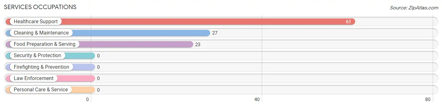 Services Occupations in Zip Code 24925