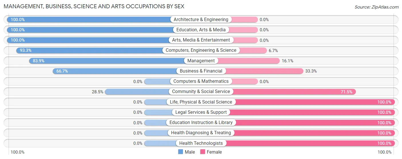 Management, Business, Science and Arts Occupations by Sex in Zip Code 24963