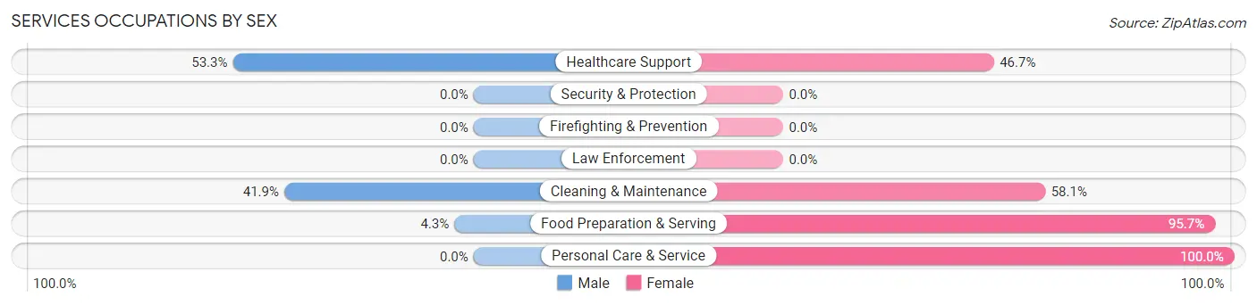 Services Occupations by Sex in Zip Code 24963