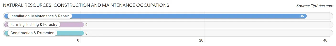 Natural Resources, Construction and Maintenance Occupations in Zip Code 24977