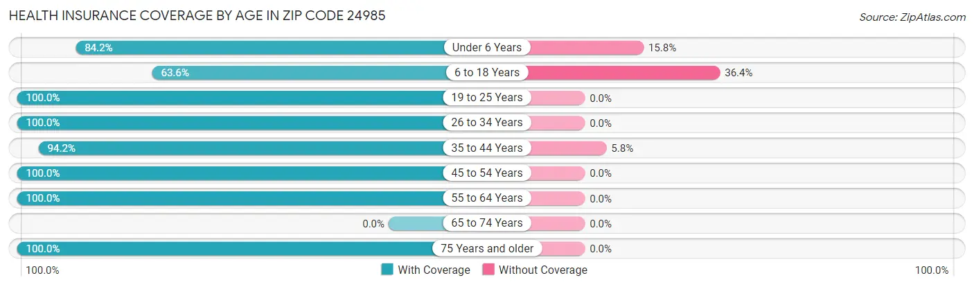 Health Insurance Coverage by Age in Zip Code 24985