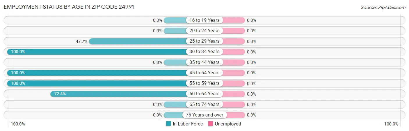 Employment Status by Age in Zip Code 24991