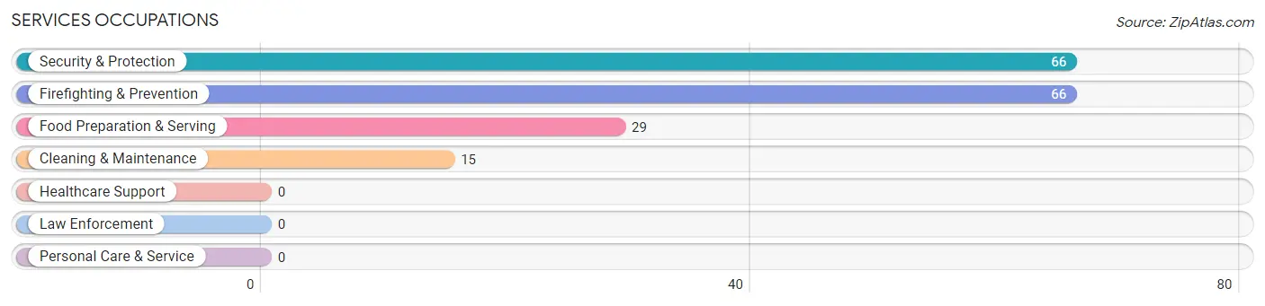 Services Occupations in Zip Code 25003