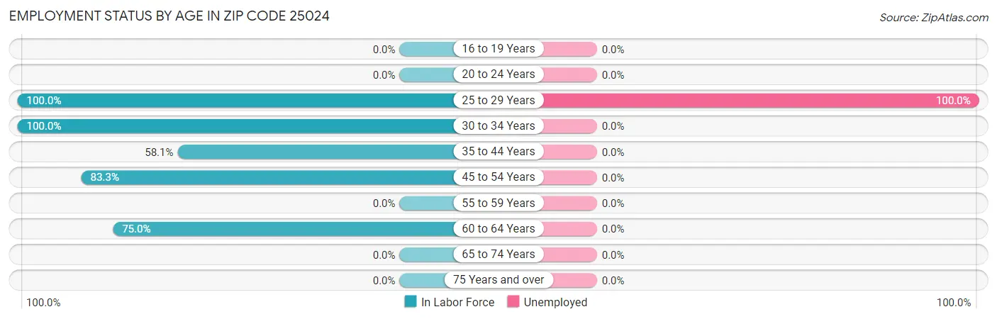 Employment Status by Age in Zip Code 25024