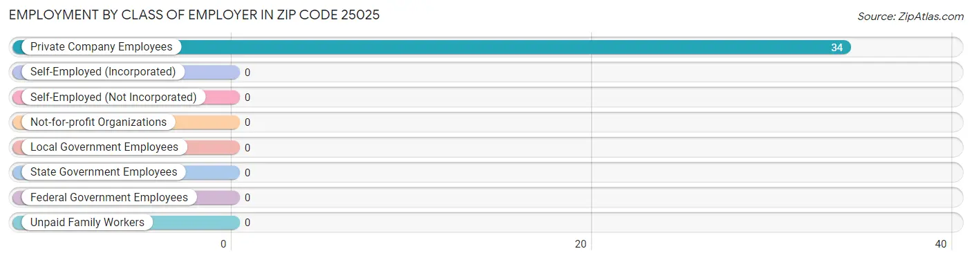 Employment by Class of Employer in Zip Code 25025