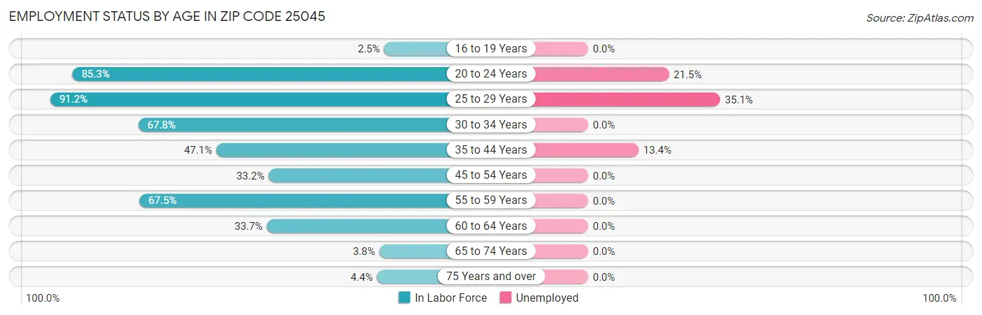 Employment Status by Age in Zip Code 25045