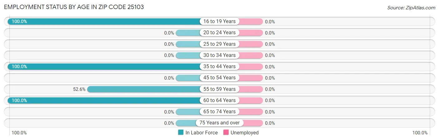 Employment Status by Age in Zip Code 25103