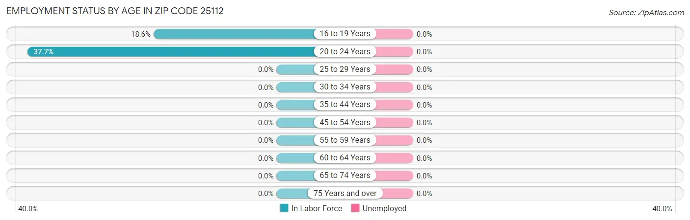 Employment Status by Age in Zip Code 25112