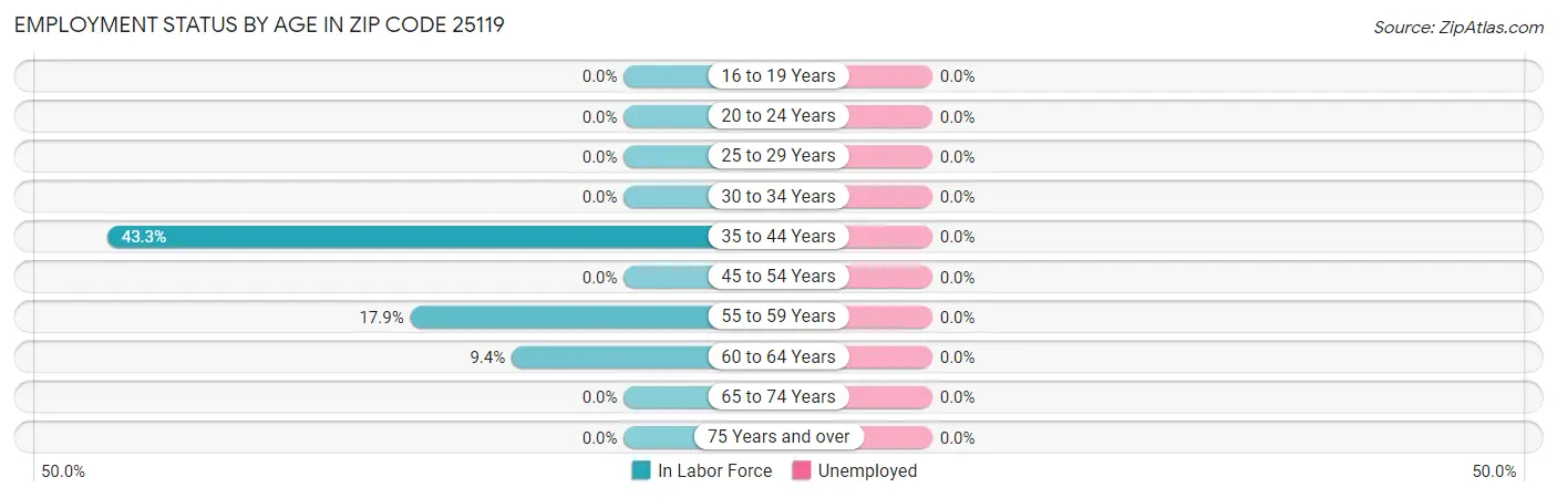 Employment Status by Age in Zip Code 25119