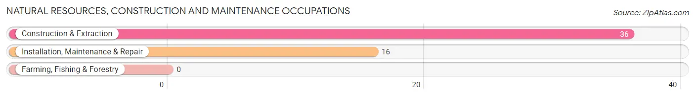 Natural Resources, Construction and Maintenance Occupations in Zip Code 25140