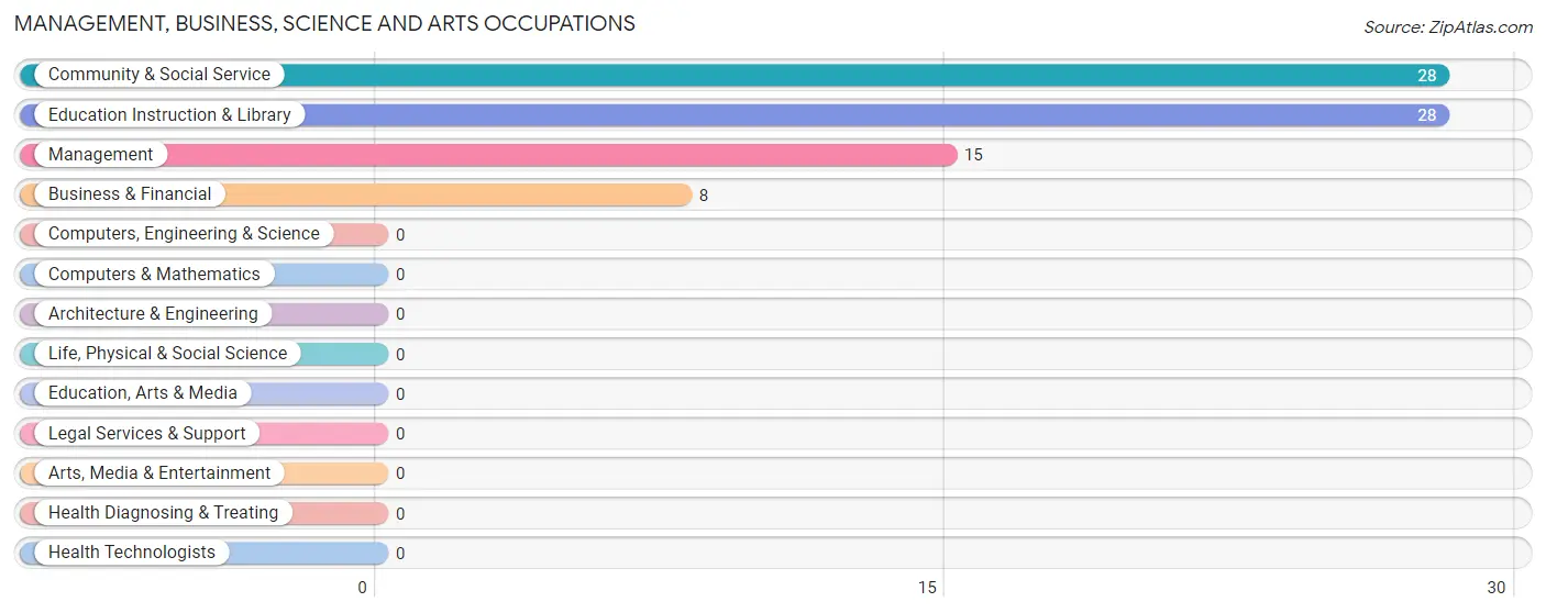 Management, Business, Science and Arts Occupations in Zip Code 25169