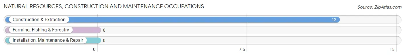 Natural Resources, Construction and Maintenance Occupations in Zip Code 25180