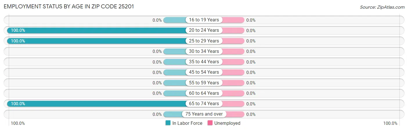 Employment Status by Age in Zip Code 25201