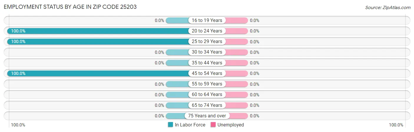 Employment Status by Age in Zip Code 25203