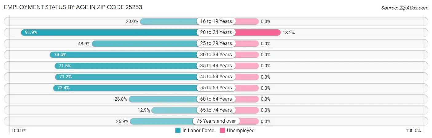 Employment Status by Age in Zip Code 25253