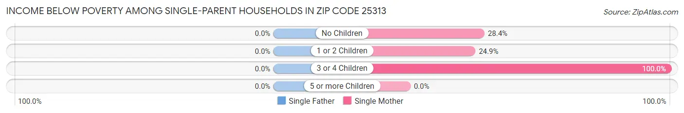 Income Below Poverty Among Single-Parent Households in Zip Code 25313