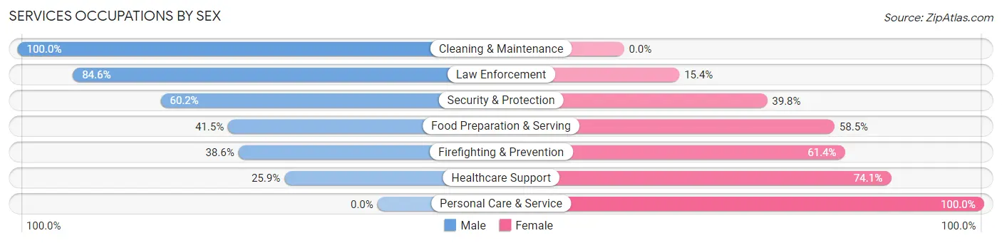 Services Occupations by Sex in Zip Code 25413